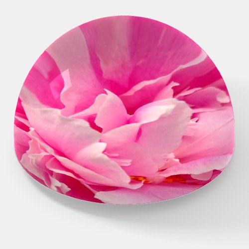 Elegant Pink Peony Photo Paperweight