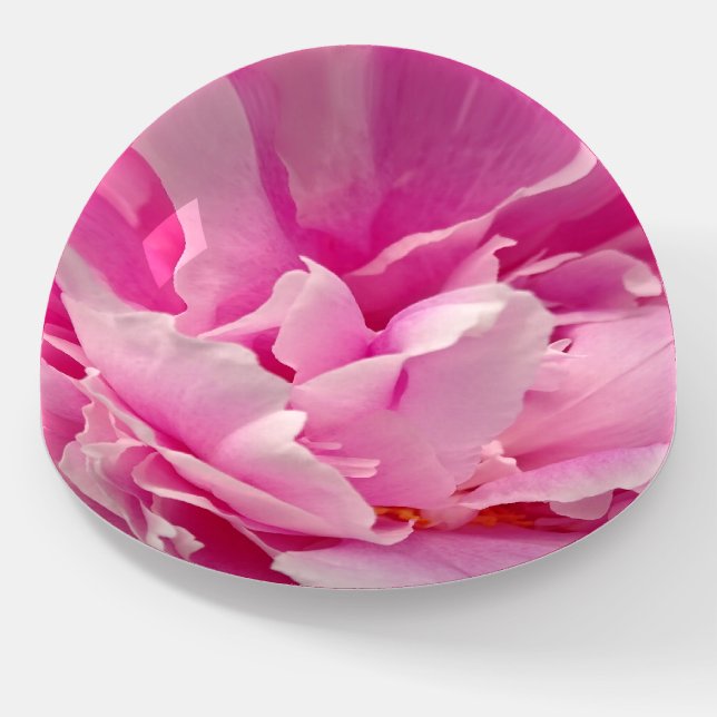 Elegant Pink Peony Photo Paperweight (Angled)