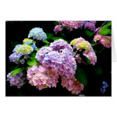 Elegant pink purple blue floral hydrangea gardens (Front Horizontal)