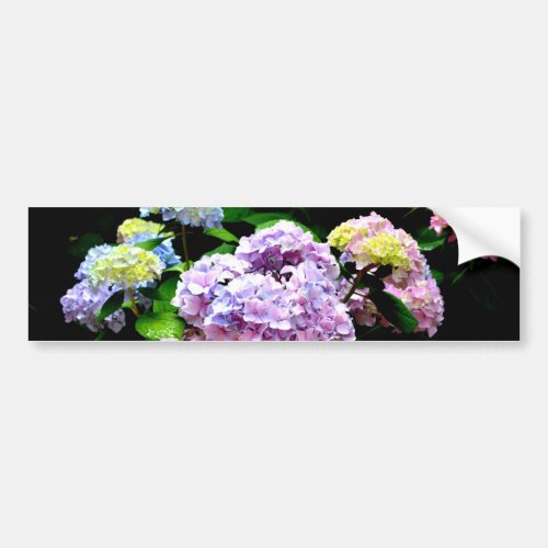 Elegant pink purple blue floral hydrangea gardens  bumper sticker