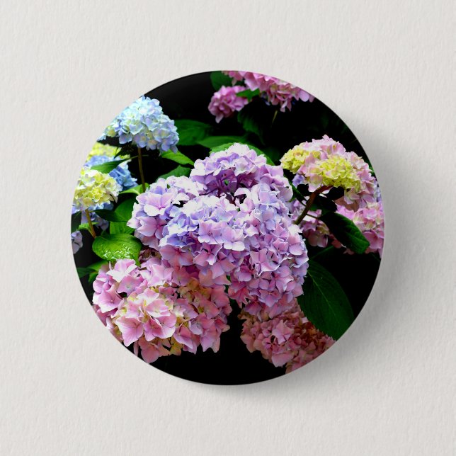 Elegant pink purple blue floral hydrangea gardens  pinback button (Front)