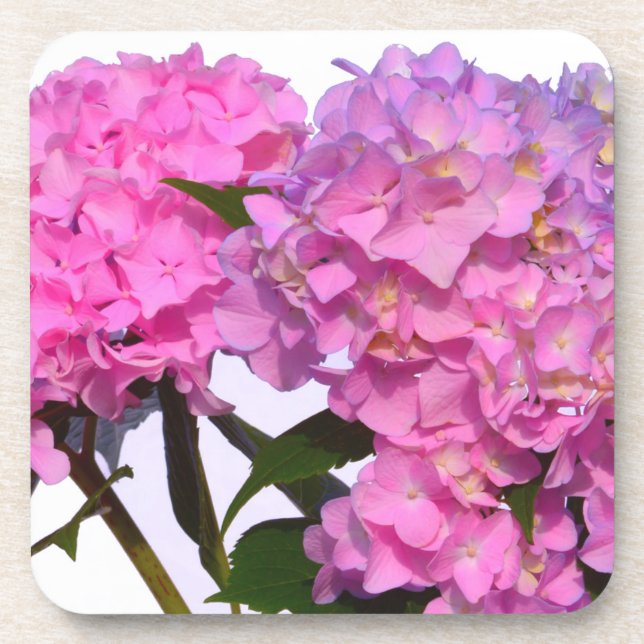 Elegant pink purple floral hydrangeas  drink coaster (Front)