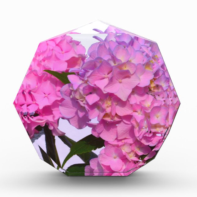 Elegant pink purple florals hydrangeas acrylic award (Front)