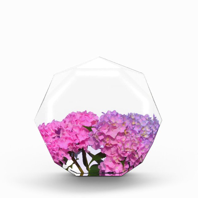 Elegant pink purple florals hydrangeas award (Front)