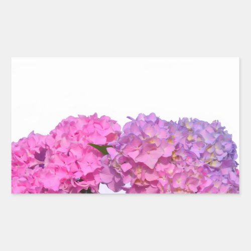 Elegant pink purple florals hydrangeas rectangular sticker