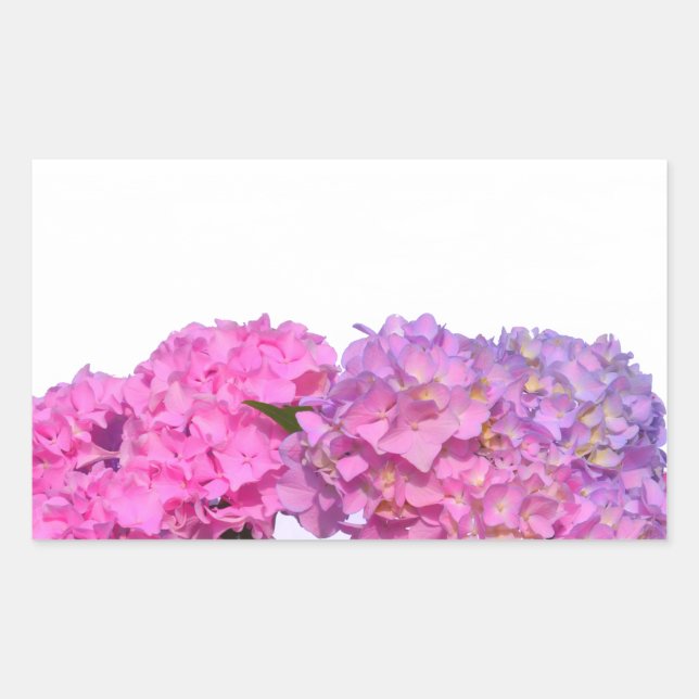 Elegant pink purple florals hydrangeas rectangular sticker (Front)
