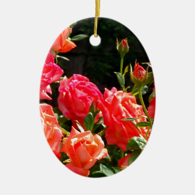 Elegant pink red orange floral roses ceramic ornament (Front)