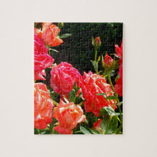 Elegant pink red orange floral roses jigsaw puzzle