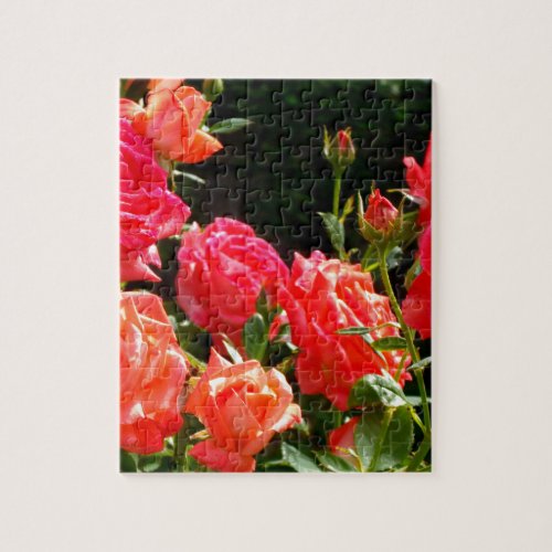 Elegant pink red orange floral roses jigsaw puzzle