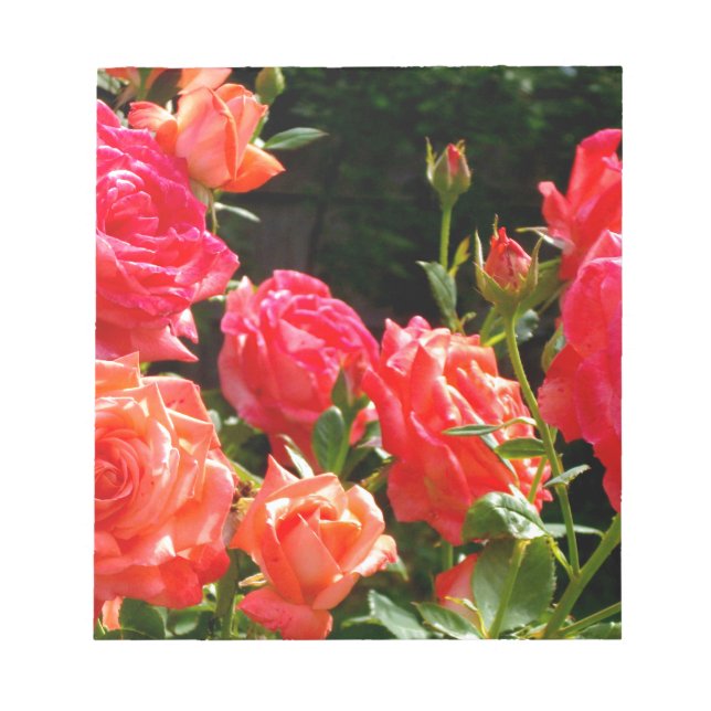 Elegant pink red orange floral roses notepad (Front)