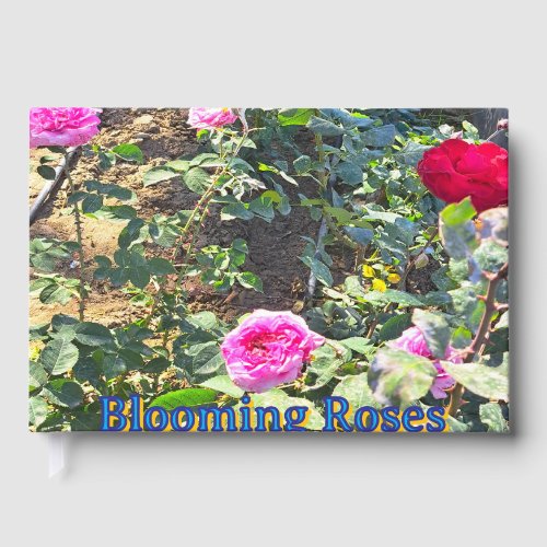 Elegant Pink & Red Roses Guest Book