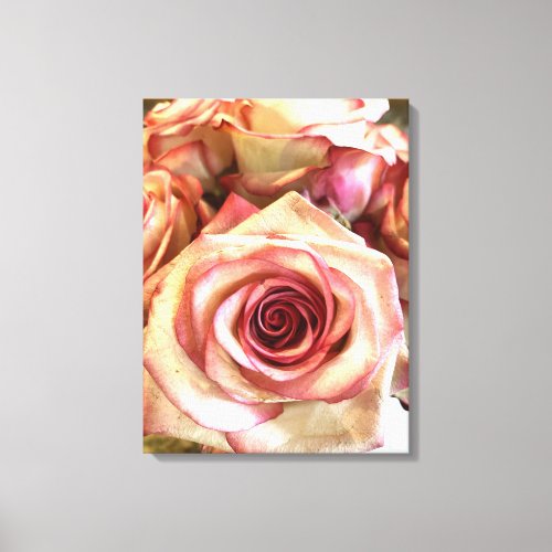 Elegant Pink Rimmed White Roses Photo Canvas Wall  Print