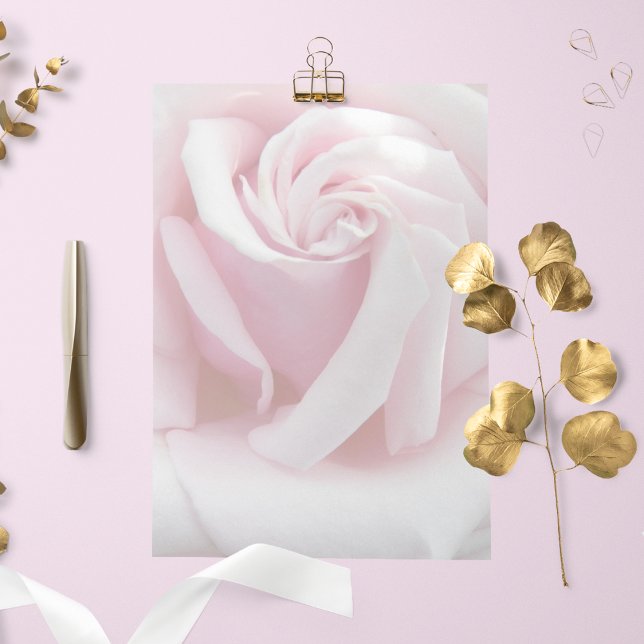 Elegant Pink Rose Bloom Floral Stationery Paper (In Situ)