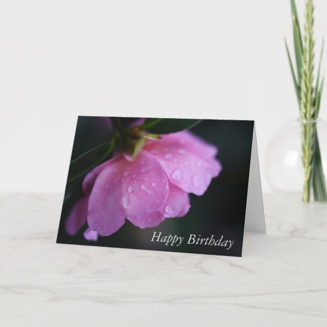 Elegant Pink Rose Close Up w/ Dew Happy Birthday C Card (Front)