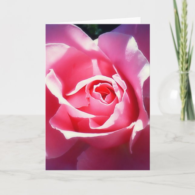 Elegant Pink Roses Valentine Card (Front)