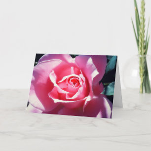 Elegant Pink Roses Valentine Card