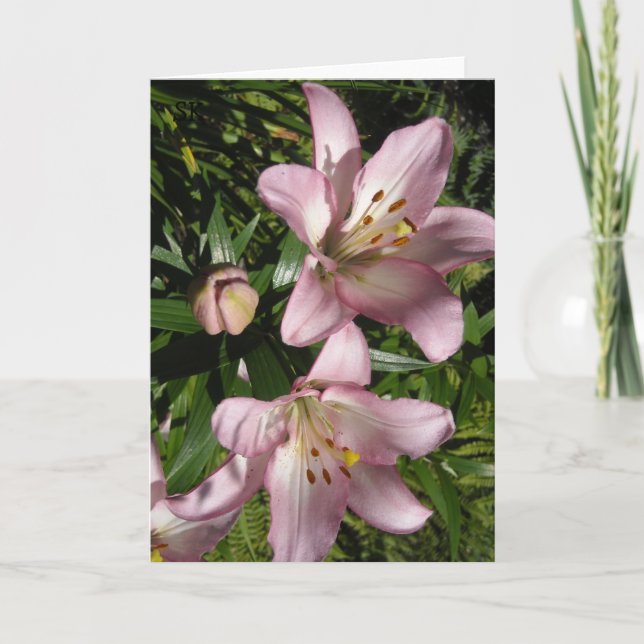 Elegant Pink Tiger Lilies Card (Front)