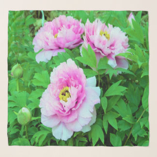 Elegant Pink Tree Peony Flowers with Yellow Center Scarf