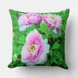 Elegant Pink Tree Peony Flowers with Yellow Center Throw Pillow