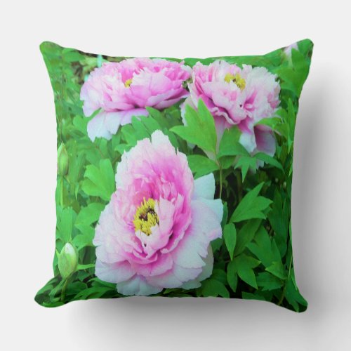 Elegant Pink Tree Peony Flowers with Yellow Center Throw Pillow