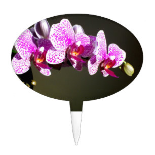 Elegant pink tropical floral flowers orchids cake topper
