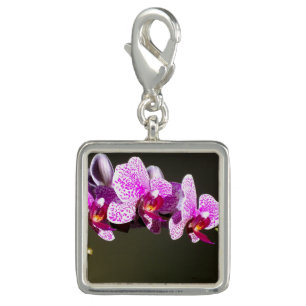 Elegant pink tropical floral flowers orchids charm