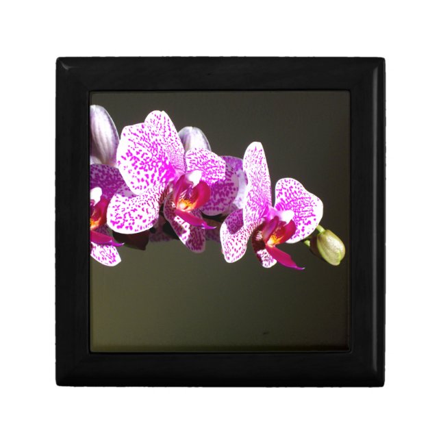 Elegant pink tropical floral flowers orchids  gift box (Front)