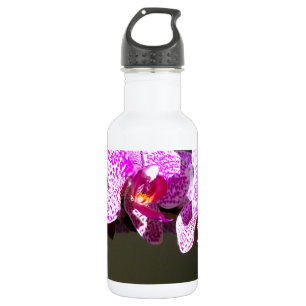 Elegant pink tropical floral flowers orchids  stainless steel water bottle