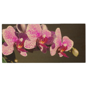 Elegant pink tropical floral flowers orchids wood USB flash drive