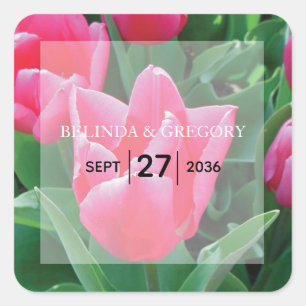 Elegant Pink Tulips Wedding Square Sticker