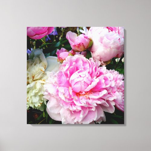 Elegant pink white peony floral garden photo canvas print