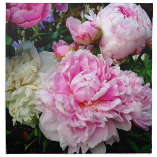 Elegant pink white peony floral garden photo napkin