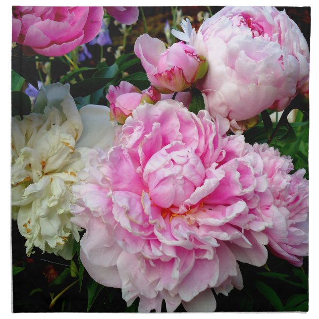 Elegant pink white peony floral garden photo napkin (Front)