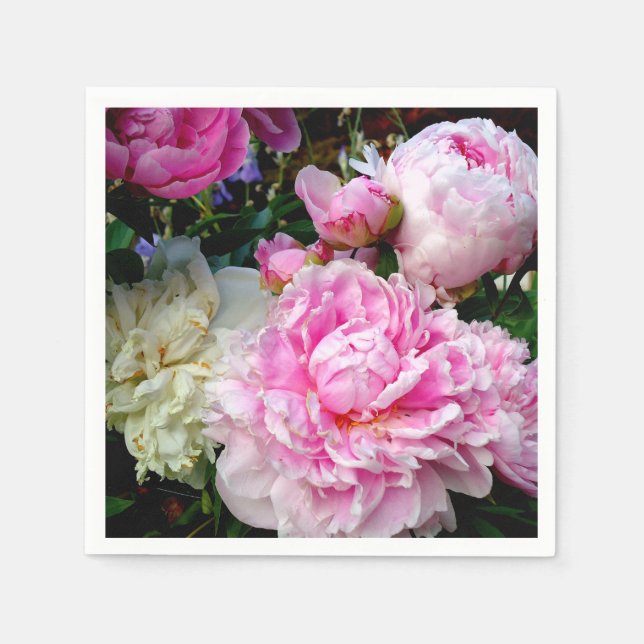 Elegant pink white peony floral garden photo napkins (Front)
