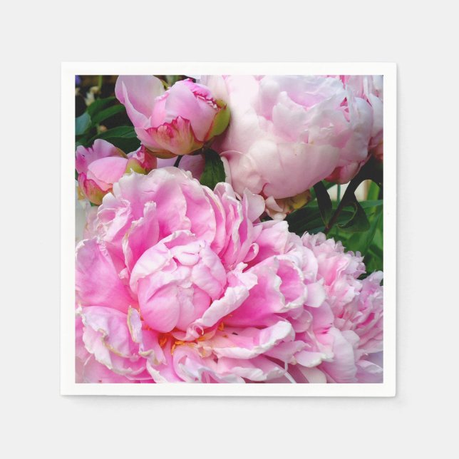 Elegant pink white peony floral garden photo paper napkins (Front)