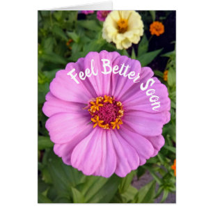 Elegant Pink Zinnia Flower Feel Better Card