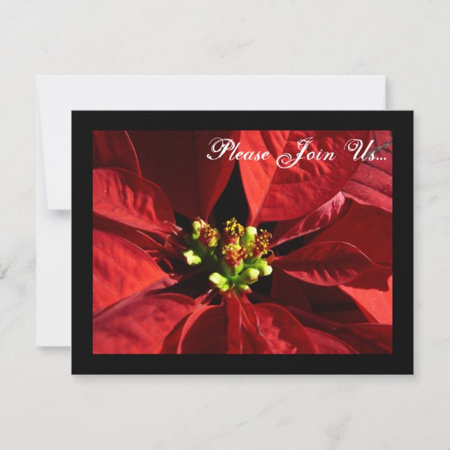 Elegant Poinsettia Holiday Christmas Invitations (Front)