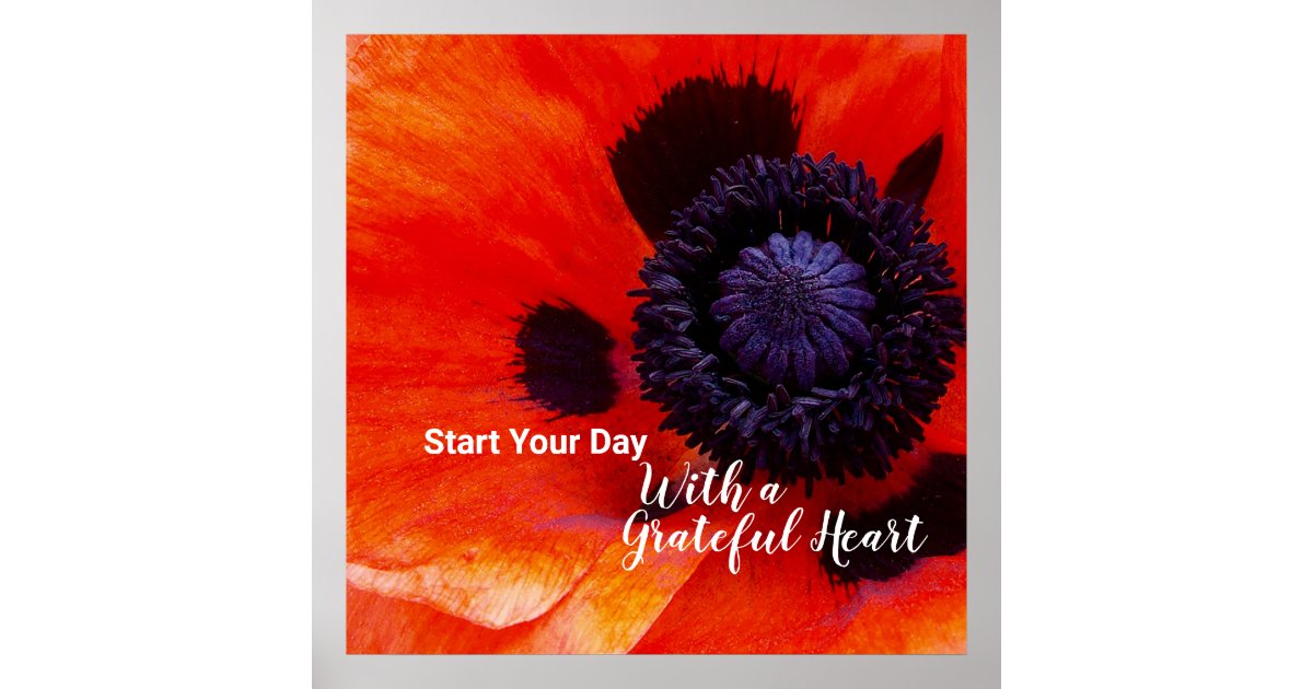Elegant Poppy Flower Quote Grateful Heart Poster | Zazzle