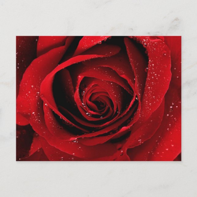 elegant postcard (Front)