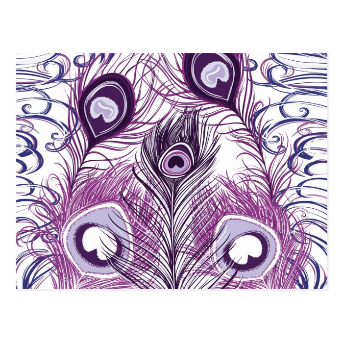 Elegant Pretty Purple Peacock Feathers Design Post Cards