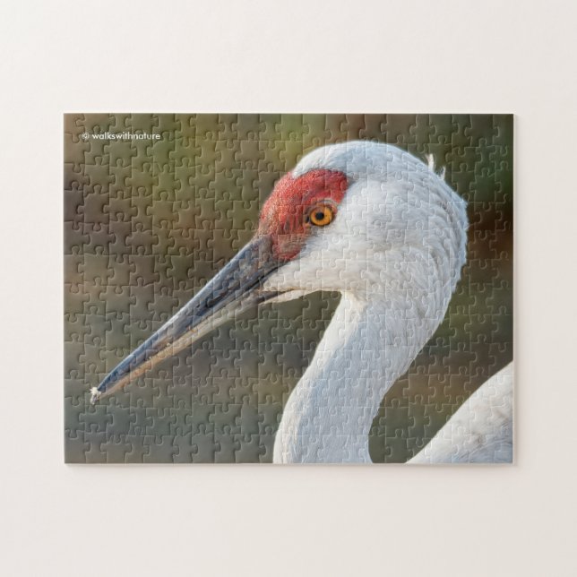 Elegant Profile of a Greater Sandhill Crane Jigsaw Puzzle (Horizontal)
