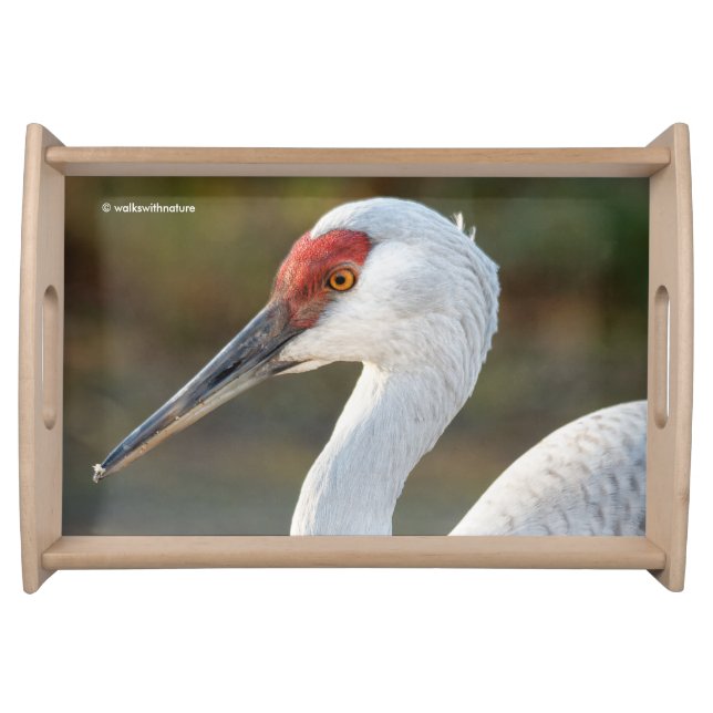 Elegant Profile of a Greater Sandhill Crane Serving Tray (Front)