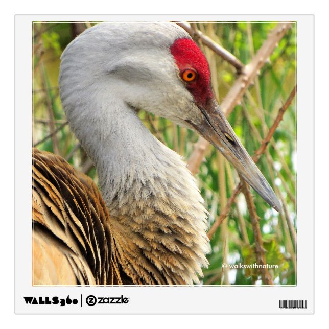 Elegant Profile of a Greater Sandhill Crane Wall Decal (Front)