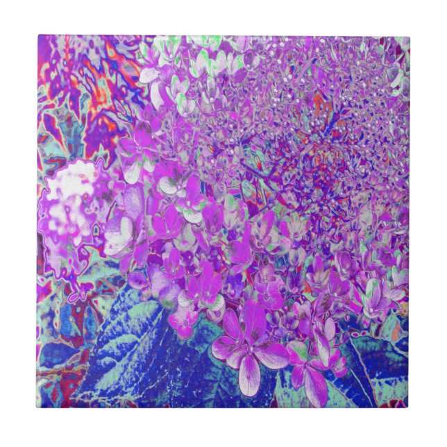 Elegant Purple and Blue Limelight Hydrangea Ceramic Tile (Front)