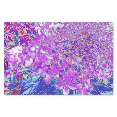 Elegant Purple and Blue Limelight Hydrangea Tissue Paper