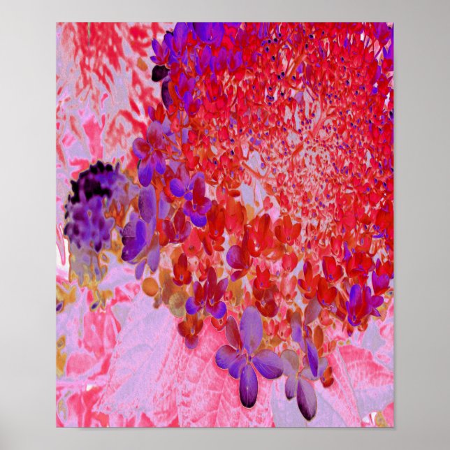 Elegant Purple and Orange Limelight Hydrangea Poster (Front)