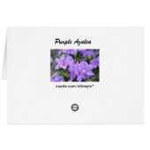 elegant purple  azalea flowers，  杜 鹃 花 (Back Horizontal)