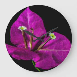 Elegant Purple Bougainvillea Large Clock