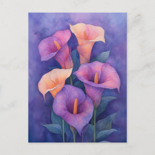 Elegant Purple Calla Lilies Postcard
