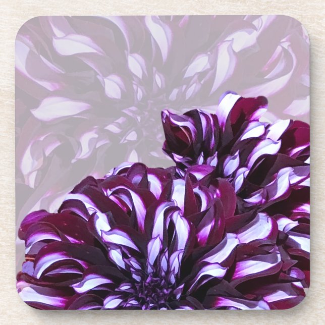Elegant purple dahlia flower beverage coaster (Front)